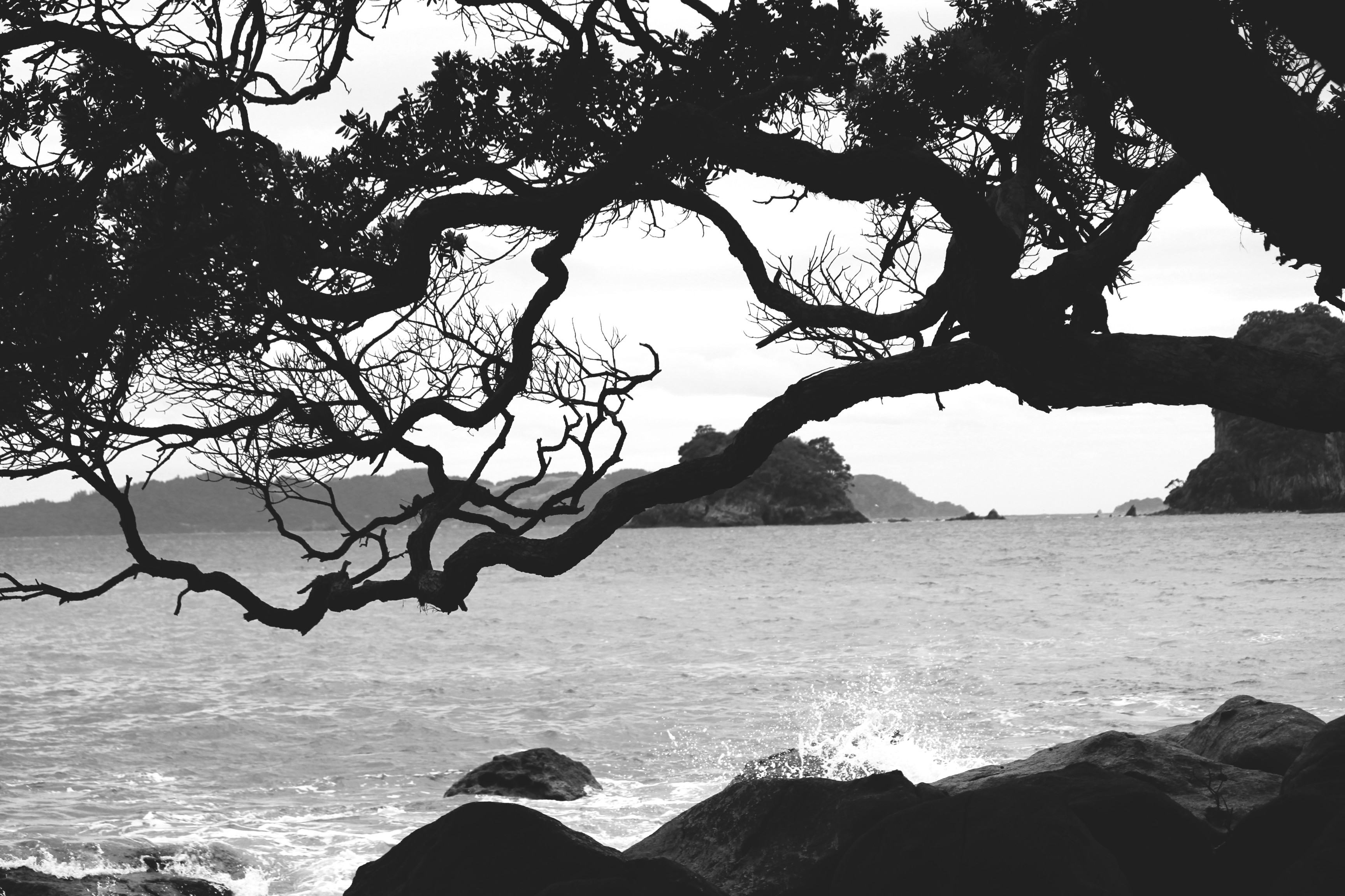 Coastal Silhouette